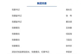 山东发展集团新班子亮相，原发展集团与山东国惠各4人图片