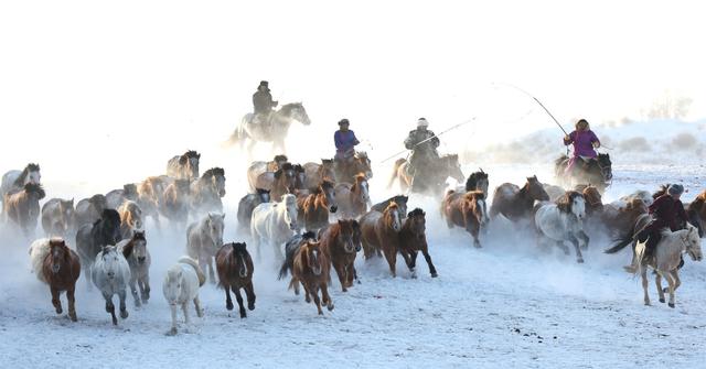 2026年乌兰布统马文化节开幕