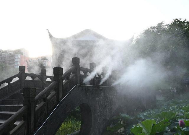 江北石门公园：雾森系统造清凉之境 荷花池畔“仙气”十足