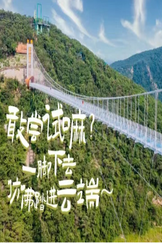 【甘井子全域玩转指南】南部西郊森林公园，踏入天然氧吧，与最美秋天撞个满怀，惬意又治愈