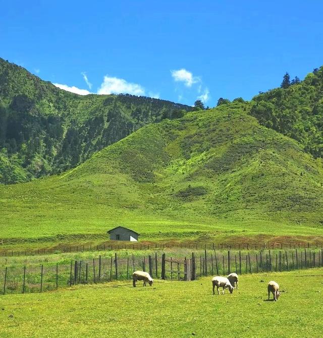 【跟着戏剧游凉山】以戏剧为媒，探凉山之美（北线剧场）