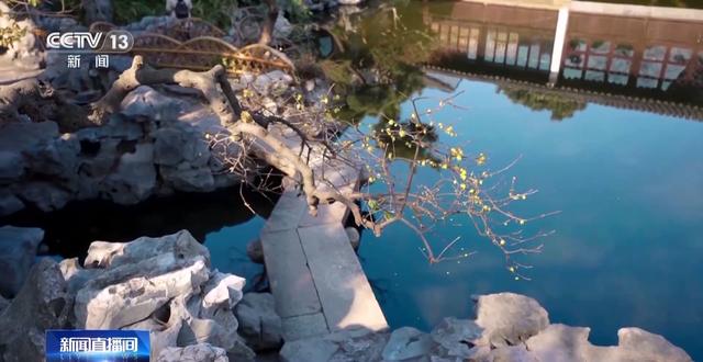 嗅梅香、赏梅韵 “梅”好时光激活周末经济