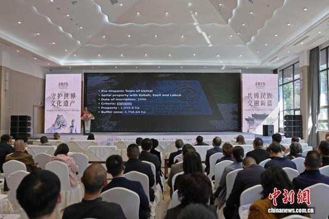 海内外专家共议世界文化遗产保护与文旅融合