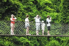 2人即可成团，需“团进团出”，入境海南144小时免签政策权威解读→图片