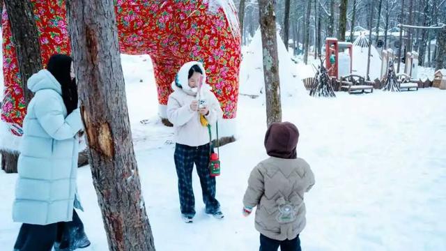 免费申领！白云山冰雪仙境邀您花式玩儿雪！