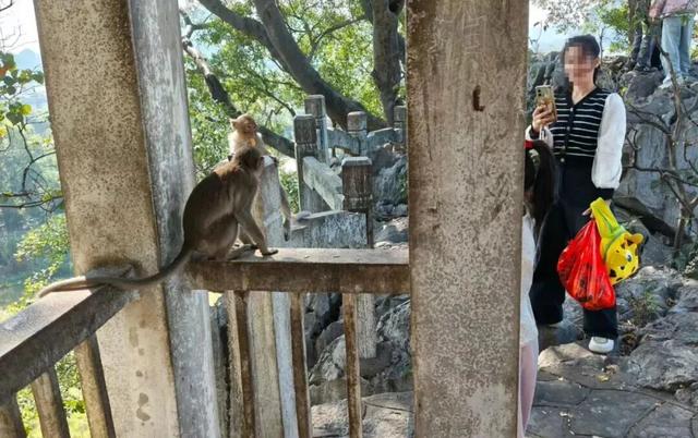垃圾遍地、道路崩塌、小孩被抓……柳州这座“网红”废弃猴山，打卡该停了！