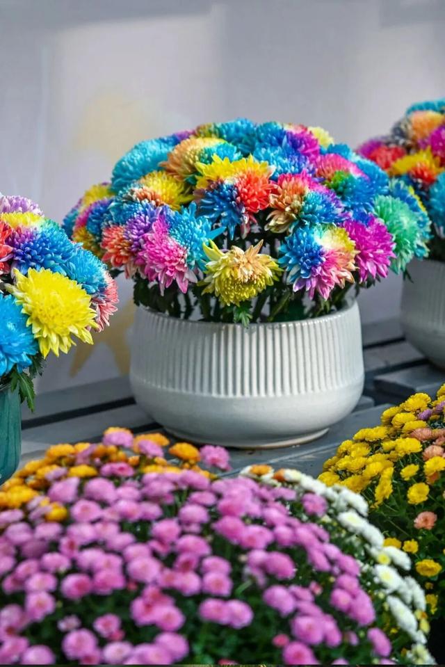 新华社+《国家地理》推荐 快来打卡山东秋景限定款