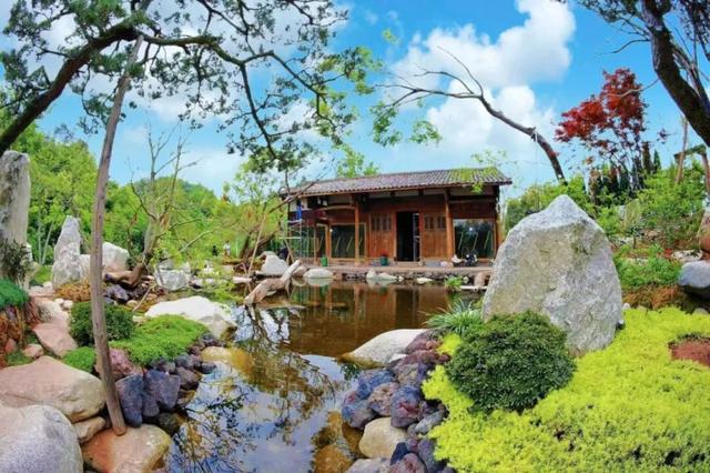 看烟花、观花海、造微缩园林......去柏加镇感受8种趣味玩法