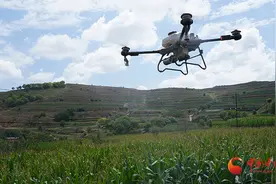 静宁：无人机“飞防”为田野插上“科技翅膀”图片