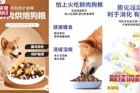 用劣质玉米、添加蒙脱石，厂家称“不会吃死的”……央视曝光黑心宠物粮图片