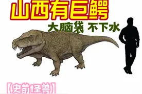 【史前怪兽】山西史前有大巨鳄！图片
