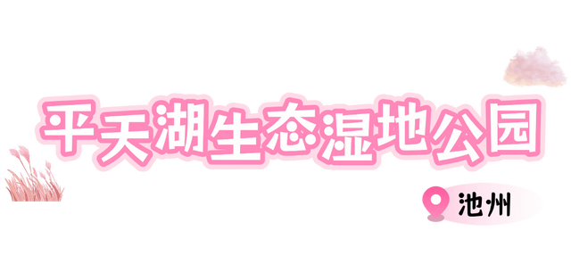 别只惦记红叶了！安徽的秋天，是五彩斑斓的！