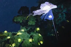 会昌戏剧季003开幕，罗伯特·威尔逊、谢娜、海清共襄盛举图片