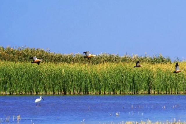 这个旅游打卡地因高铁开通“出圈”