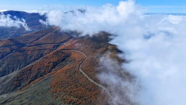 五台山的秋天，太治愈了！
