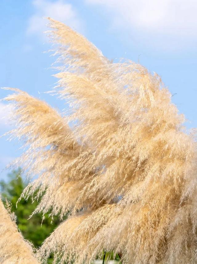 秋日限定调色盘，快去打卡吧~