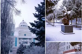 1月15日-22日，哈师大附中免费对外开放｜预约方式→图片