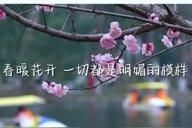 三月武汉，不如见一面！视频封面
