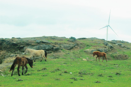 广州地区旅行社行业协会为贵州省黔南州贵定县推出精品旅游线路