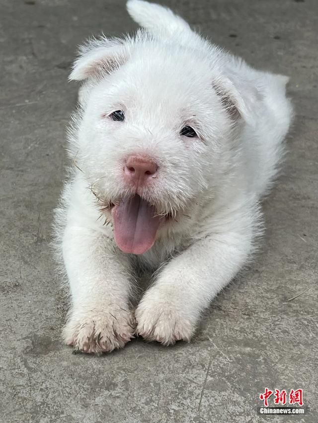 人这一辈子，一定要去一趟凯里！