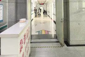 市一院动物致伤门诊运行两个月接诊患者117例，医生提醒——被动物咬伤、抓伤别大意 不同情况不同处理图片