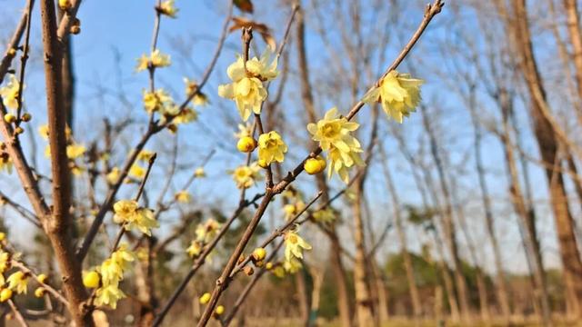 长宁家门口的“宝藏”绿道，运动赏景两不误！