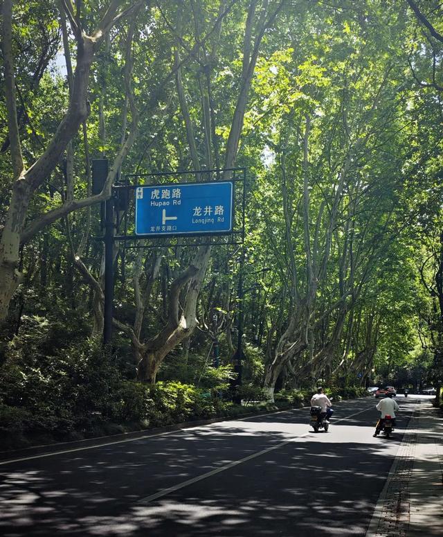 想搬去杭州了