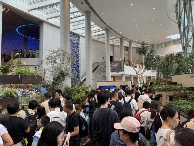 暑期过半：多地热门景区门票连日售罄，游客“怕晒又爱玩”推动夜经济升温