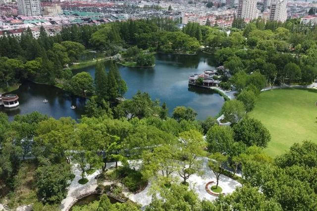 60多岁大象滑梯携“象素乐园”回归，杨浦公园全新儿童乐园即日起进入试运行