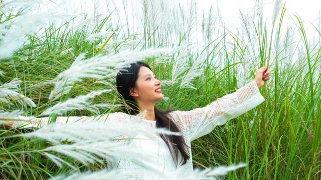 清城芦苇荡：隐藏在城市边缘的秋日童话