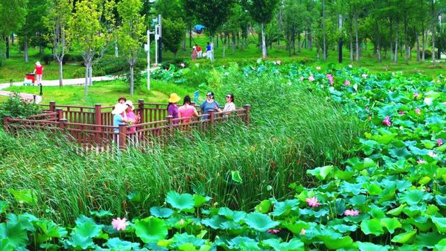 “孟孟”回乡惊叹：原来你是这样的孝昌