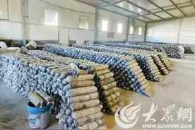 云话山东 | 枣庄沃丰农业引领菌菇创新，富硒黑木耳与“菌菜轮作”成新亮点图片