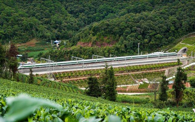 有效期9天！云南铁路在省内旅游热门方向推出旅游计次票