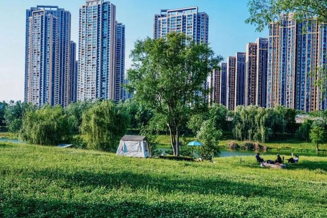 免费+市区！武汉这5 处宝藏露营地，地铁可达