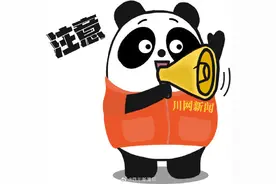 赶飞机注意！天府机场今起新增10个国内登机口图片