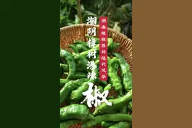 家湘｜湘阴樟树港辣椒：湖南辣椒界的绝代风华图片