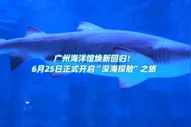 广州海洋馆焕新回归！6月25日开启“深海探险”之旅图片