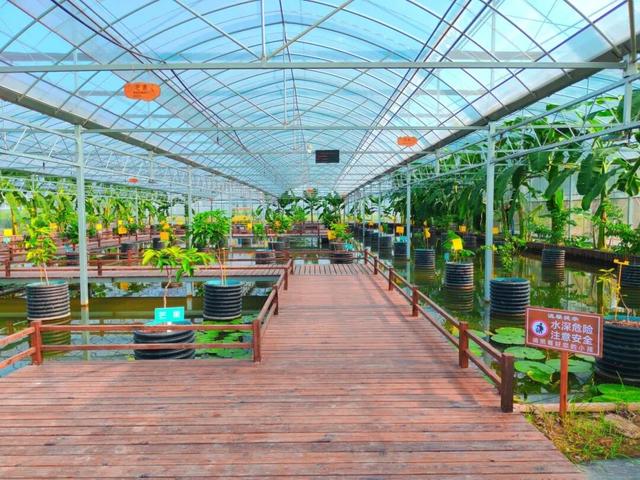 9条乡村旅游线路，就按这个玩…