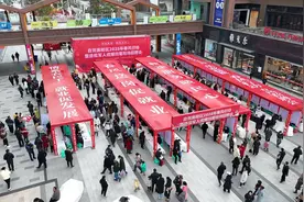 四川自贡高新区举办2025年春风行动退役军人专场招聘会图片