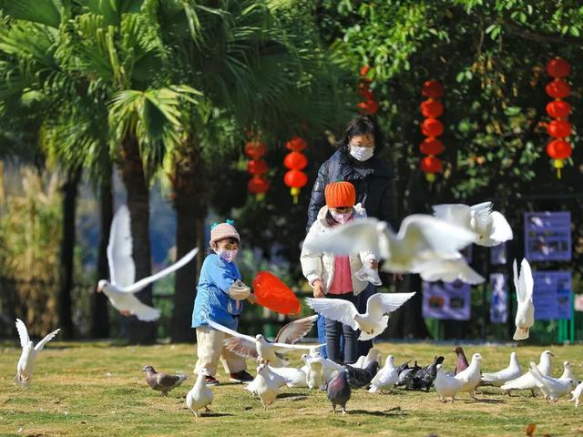 在星湖，跟着这条跨越全球的 “空中航线”，解锁观鸟新体验