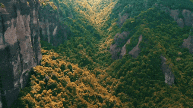 免费！上虞中小学生秋假福利来了