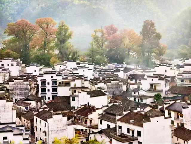 上饶绝美“枫景”加载完毕，前往石城锁定你的赏枫C位！