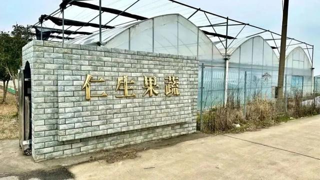 现代农业与田园风光交织，金山推出周末休闲新路线