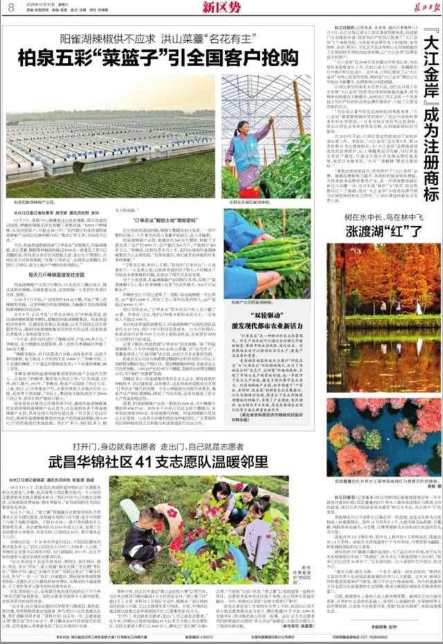 树在水中长，鸟在林中飞 涨渡湖“红”了