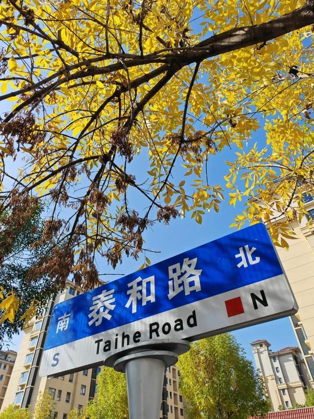 坊子区7处“落叶缓扫”超出片，快来打卡~