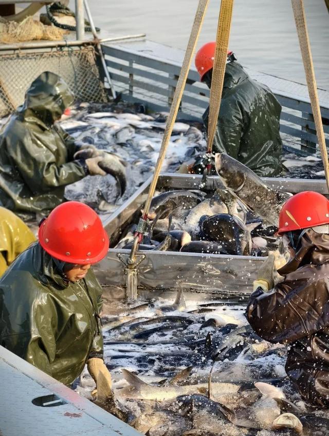 大武汉一日 | 黄鹤楼+超级月亮+节日=？