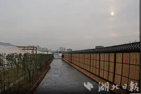 新春走基层｜幸福农场让荒地“活过来”图片