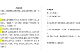 大武汉一日丨一位外地人要来，武汉人的微信群炸了图片