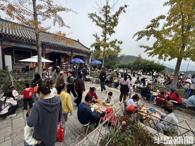 青岛竹子庵：金秋赏景正当时！
