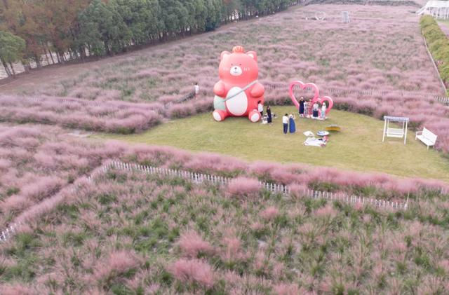 国庆遛娃好去处!能露营、能撒欢、还有巨型稻草熊